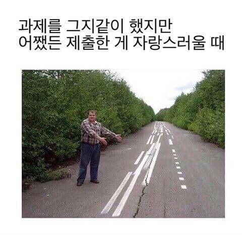 과제를 그지같이 했지만 어쨌든 제출한 게 자랑스러울 때